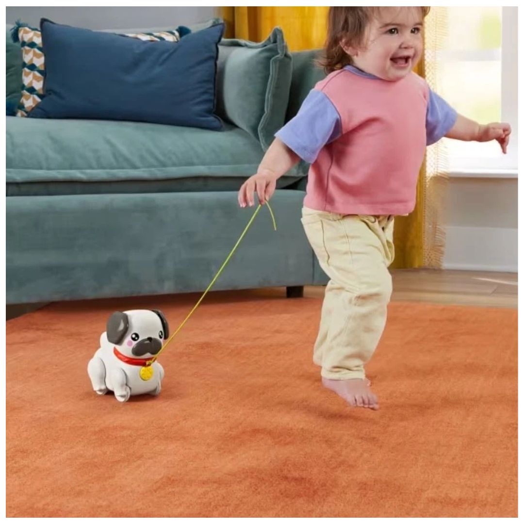 Pets Walk The Pup Pug