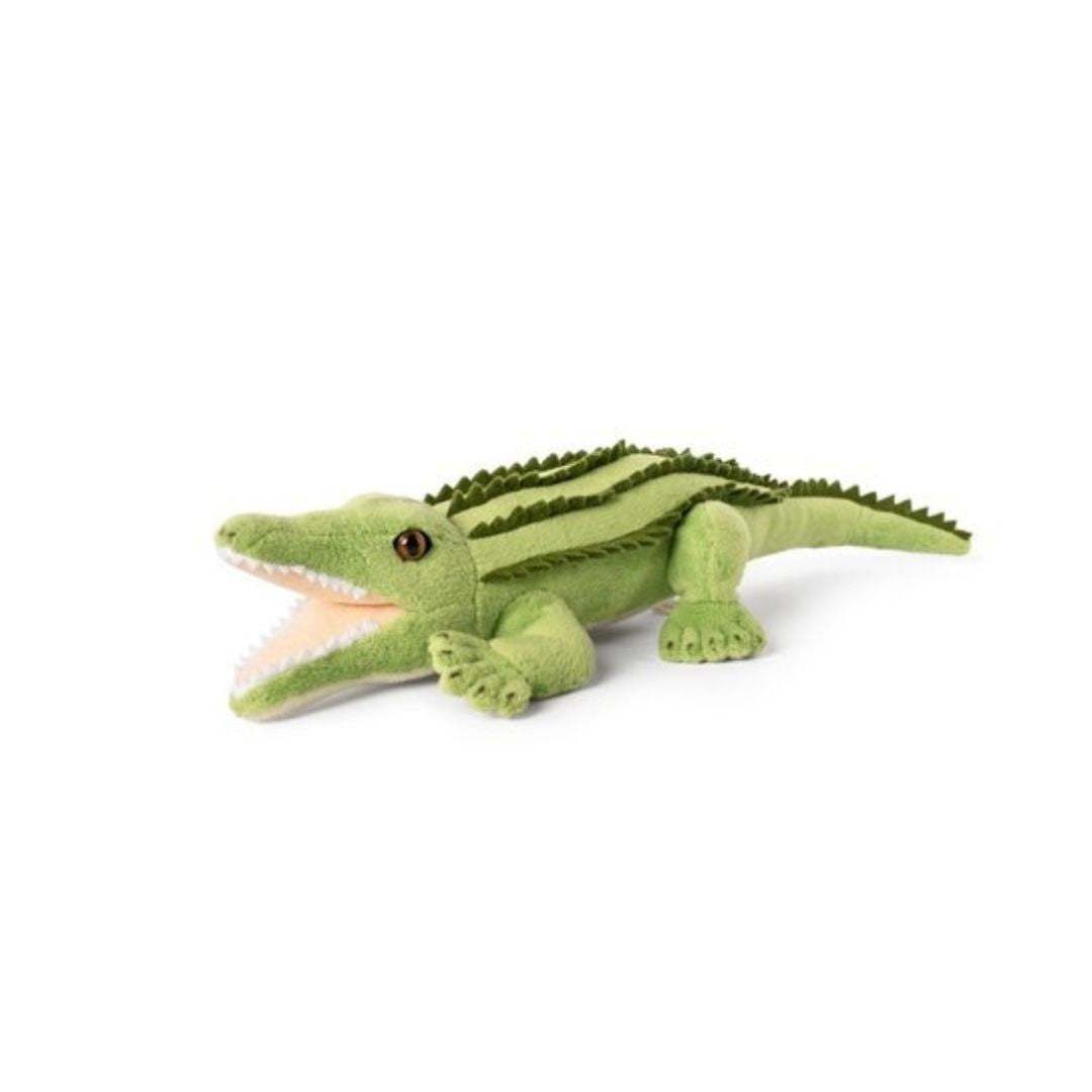 Crocodile Small
