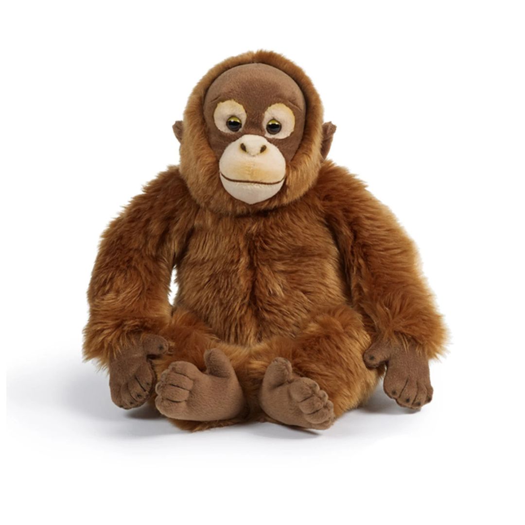 Orangutan 30cm