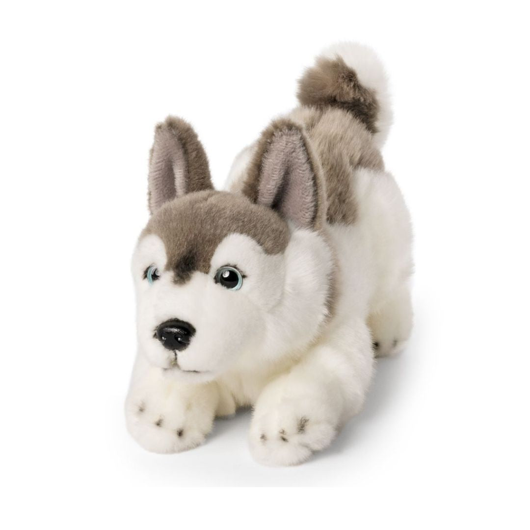 Husky Playful Pup Plush