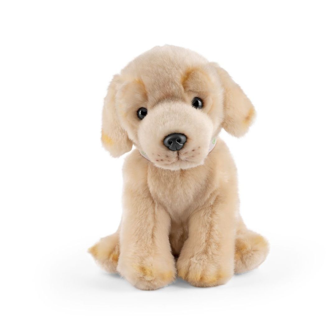 Golden Lab Puppy with Sound 22cm