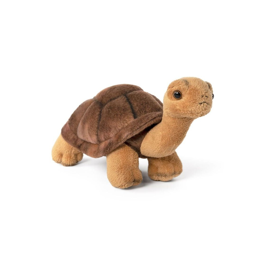 Tortoise Plush