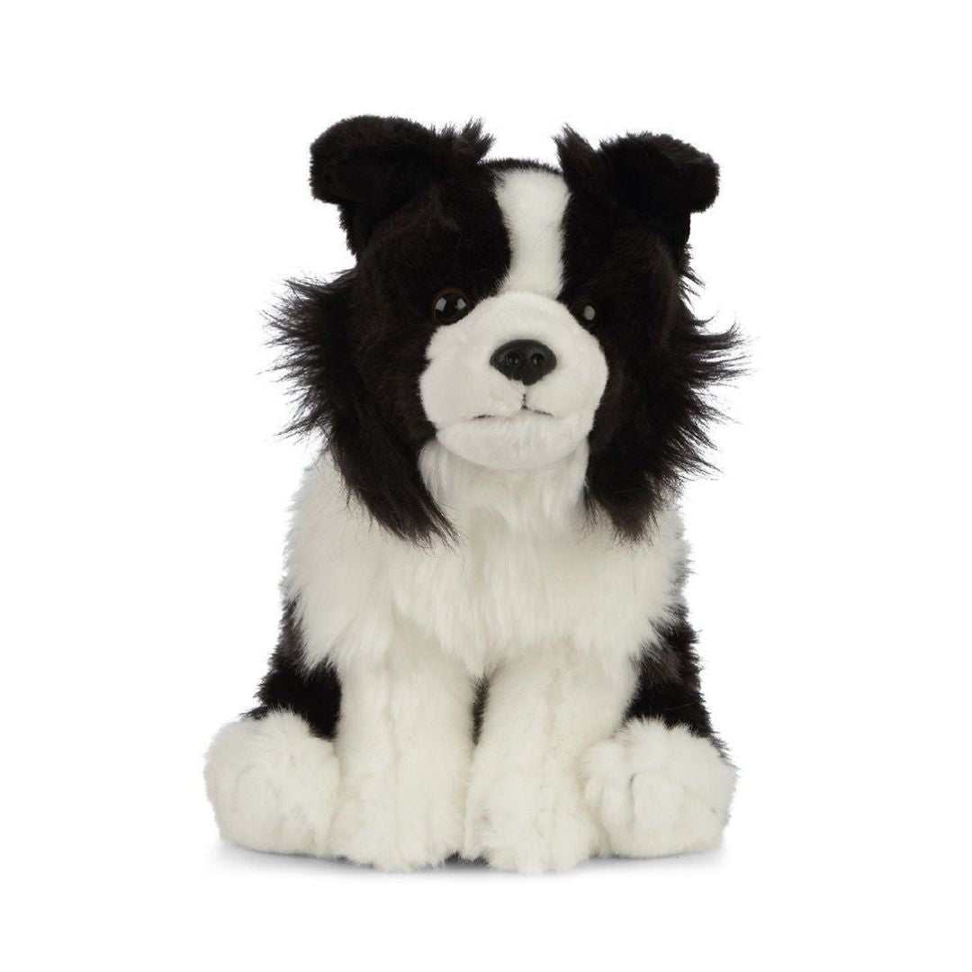 Border Collie 20cm