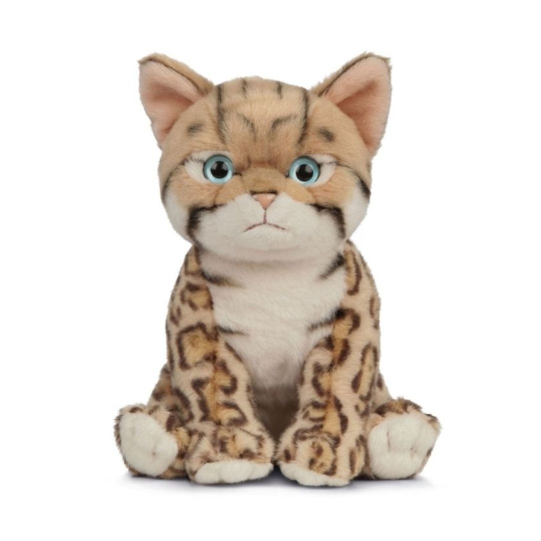 Bengal Kitten Plush 16cm