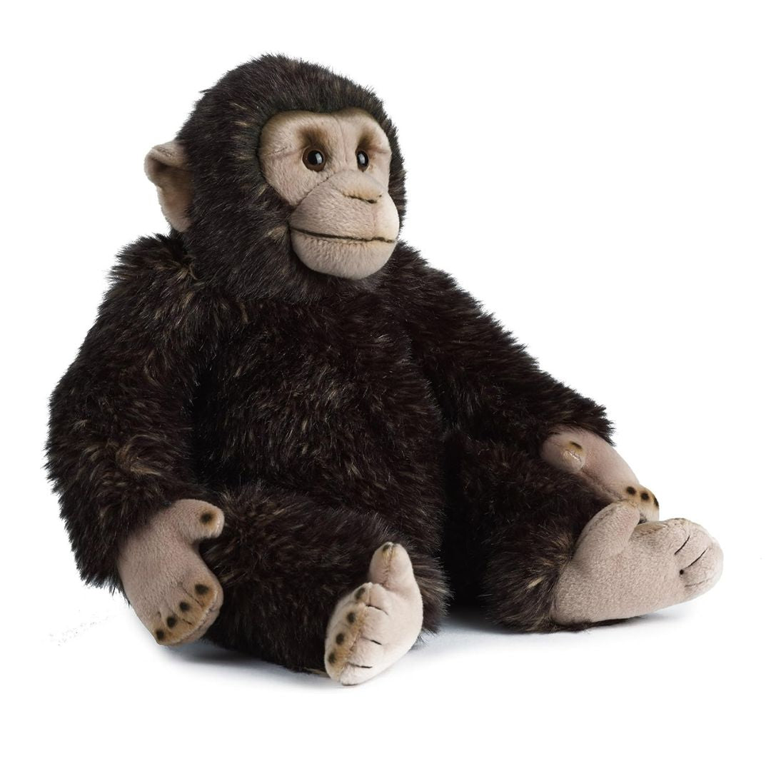 Chimpanzee 30cm