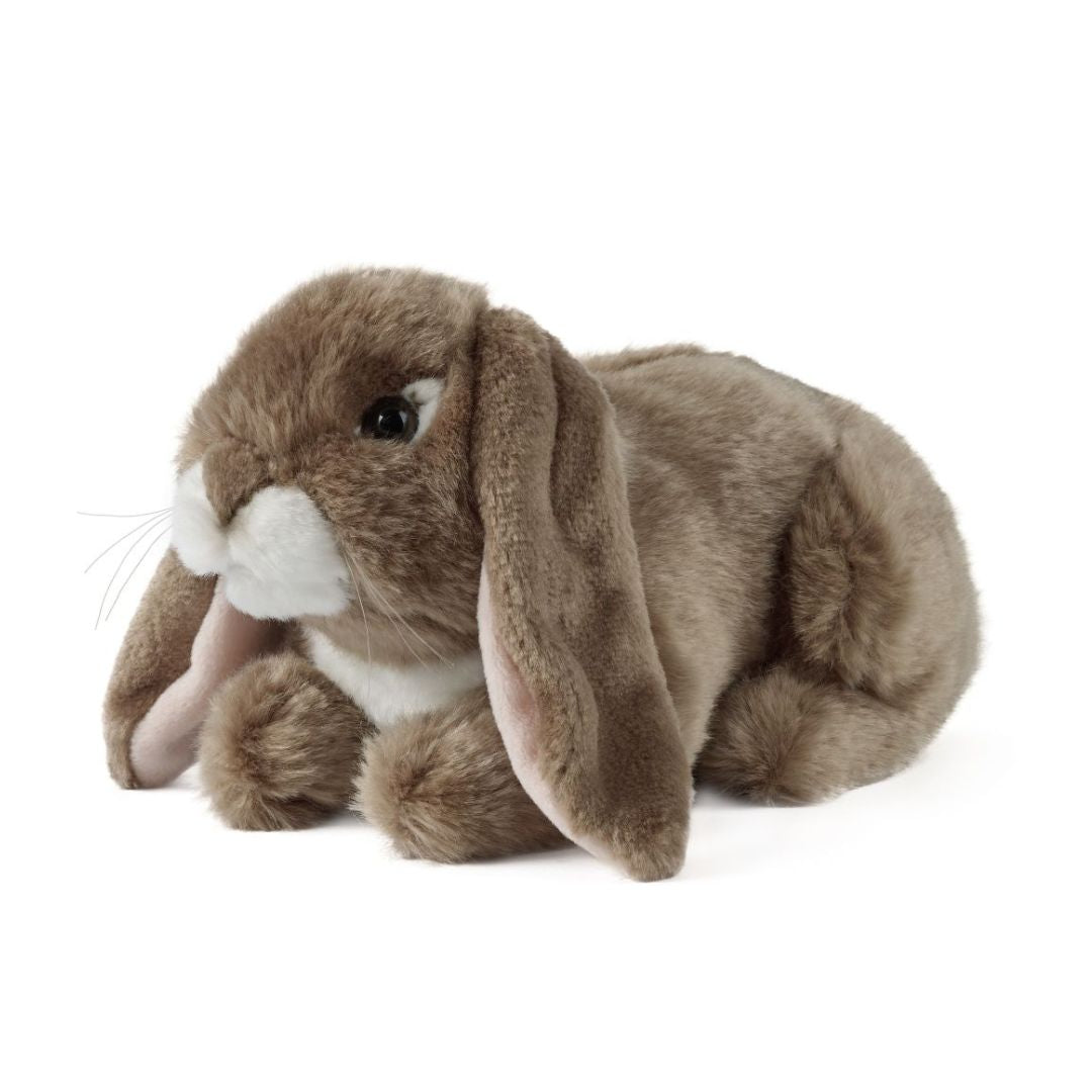 Dark Brown Lop Eared Rabbit 24cm