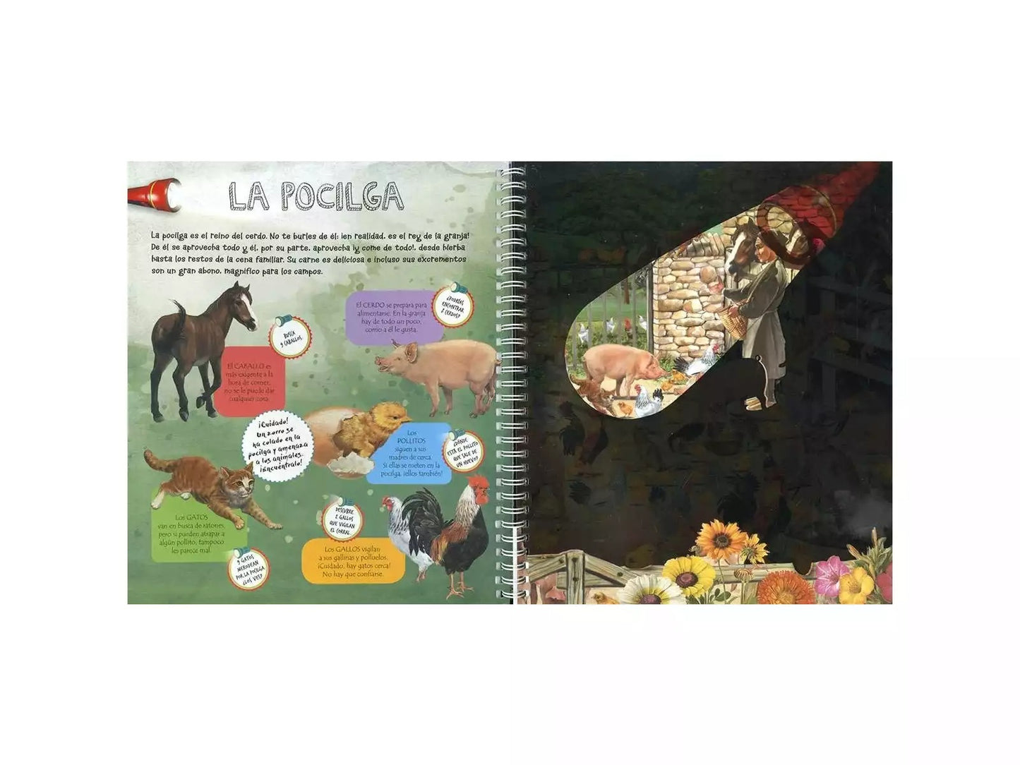 Lanterne Magique Animaux De La Ferme