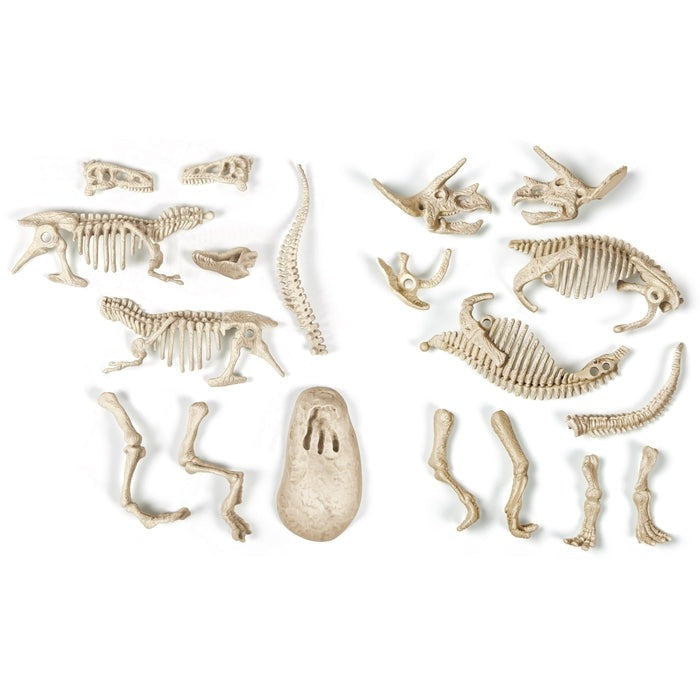 Clementoni T-Rex & Triceratops A Prehistoric Showdown