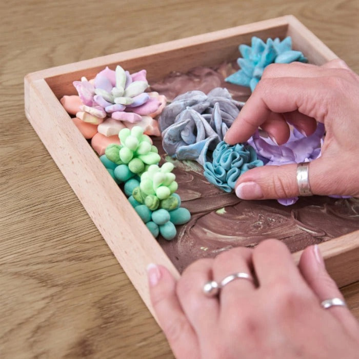 Wood and Craft Diy Succulents Tenderness