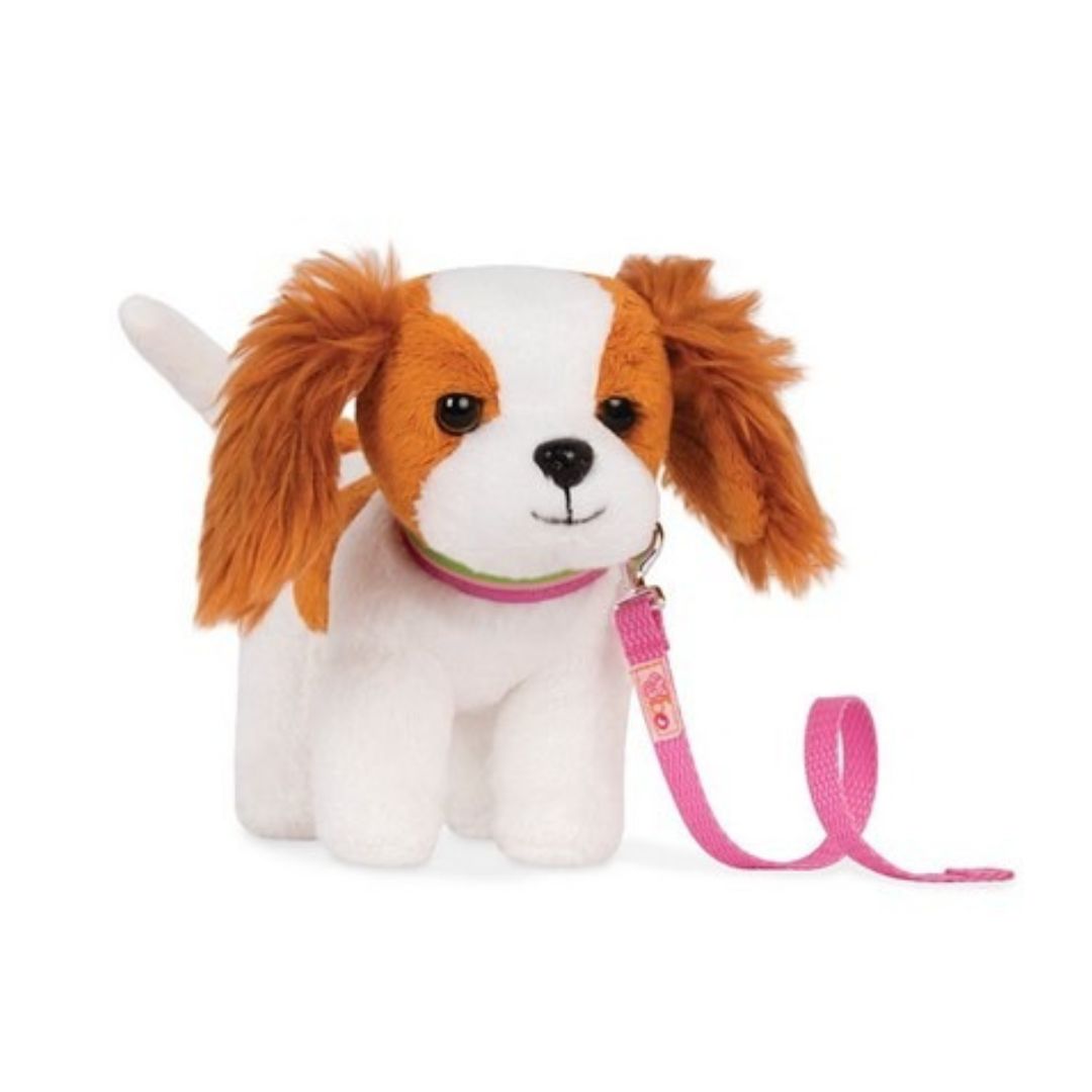 King Charles Spaniel Pup