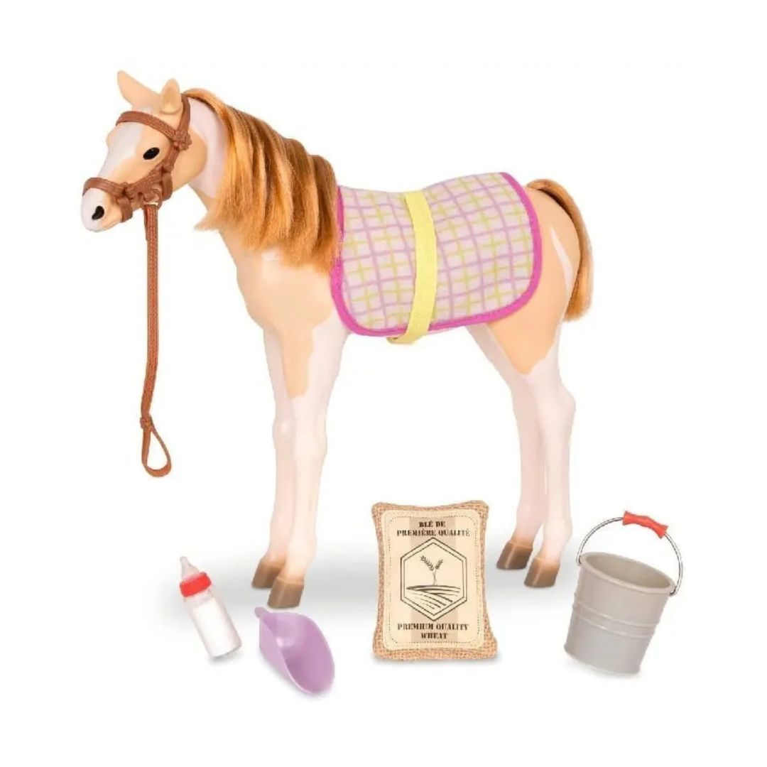 Mustang Foal