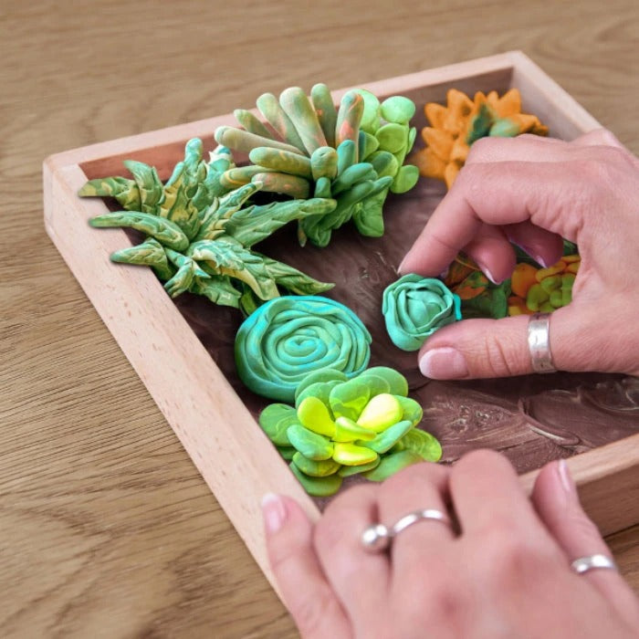 Wood Craft Diy Succulents Energy