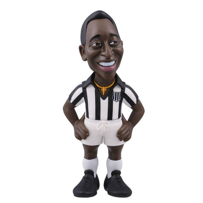 Pele Santos