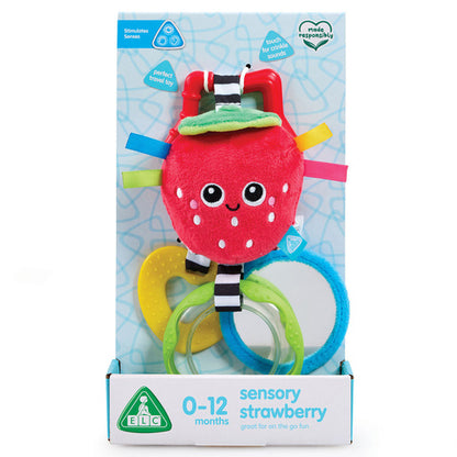 Sensory Strawberry Travel Toy