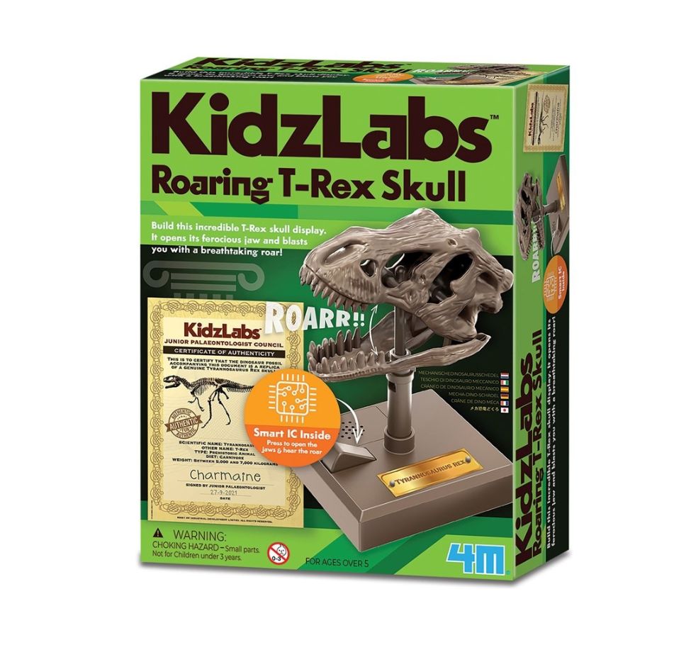 4M KidzLabs Roaring T-Rex Skull