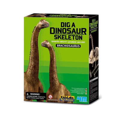 4M Dig A Dinosaur Sekelton