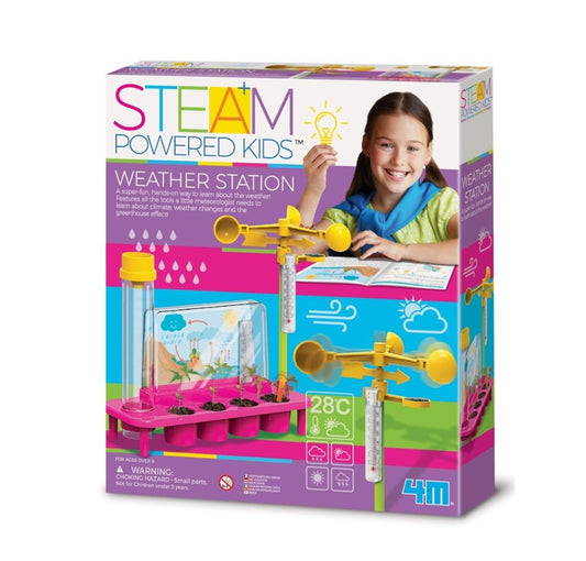 4M Steam Weather Station