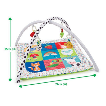 Elc Bossom Farm Activity Playgym