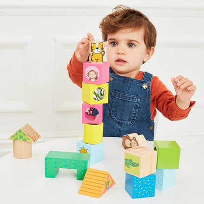 Wooden Activity Blocks