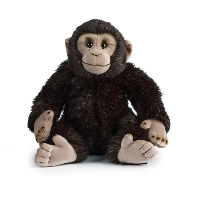 Chimpanzee 30cm