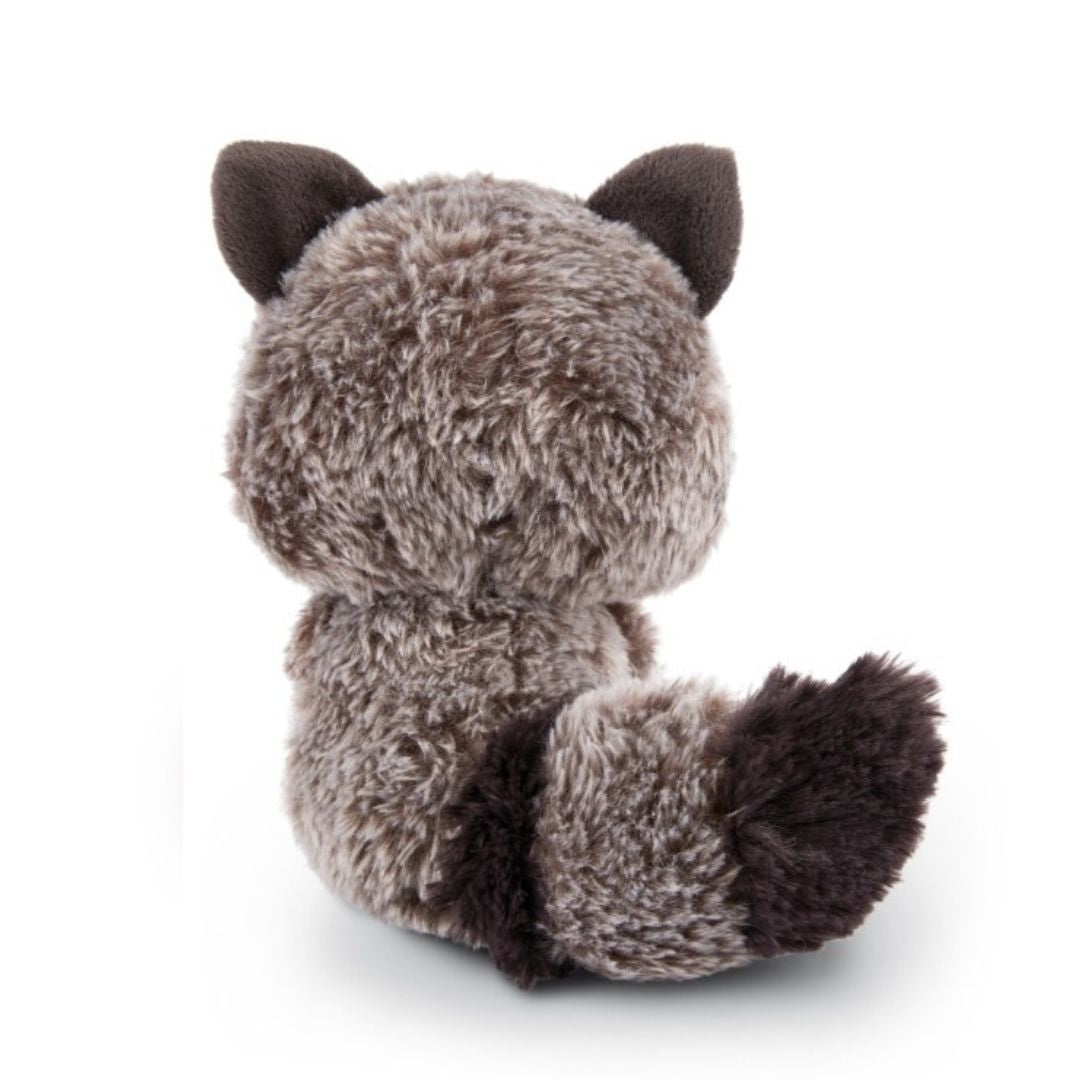 Nici Glubschis Raccoon Clooney