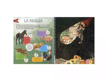 Lanterne Magique Animaux De La Ferme