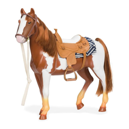 Pinto Horse