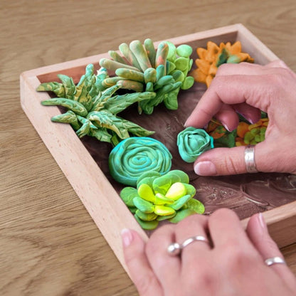 Wood Craft Diy Succulents Energy
