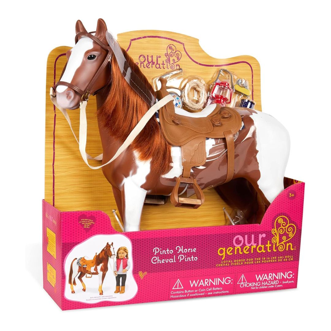 Pinto Horse