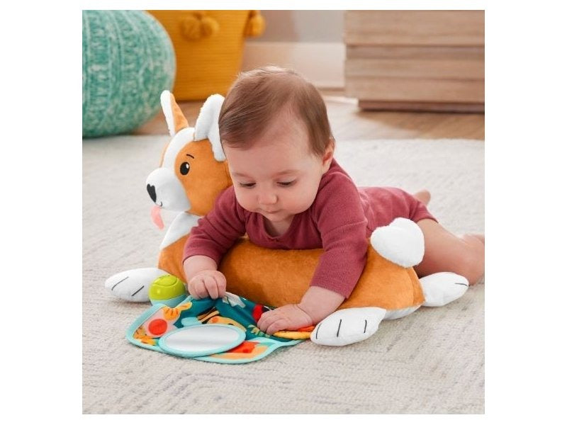 Fisher Price 3in1 Puppy Tummy Wedge