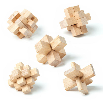 Play & Win 5 Super Wooden Puzzles