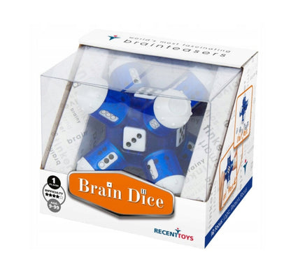 Brain Dice Puzzle