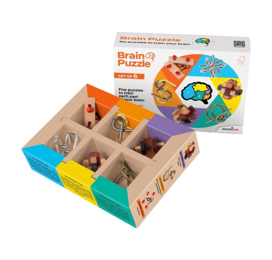 Brain Puzzle Set Of 6