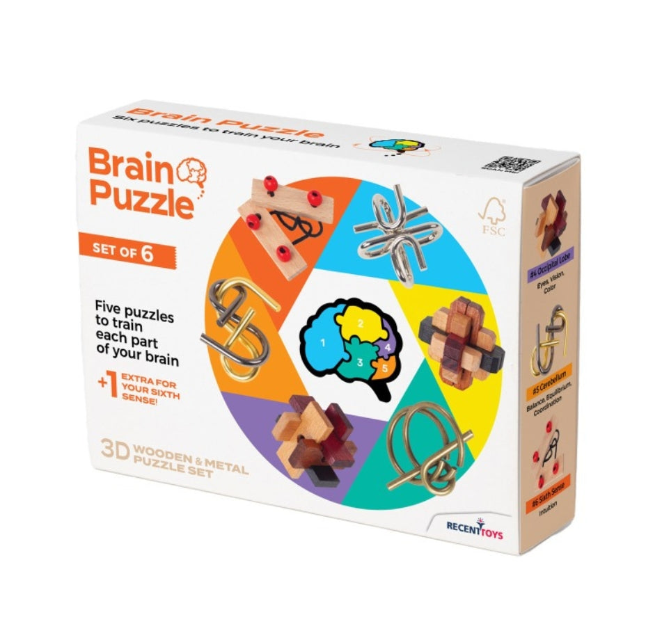 Brain Puzzle Set Of 6